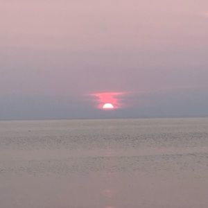 Meet your Posher, Allen